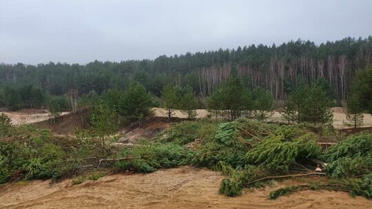 Unterstützung für Pro Biotope e.V. - Pro Biotope e.V. | MEGAZOO