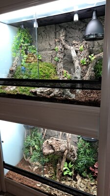 Neue Terraristik-Anlage