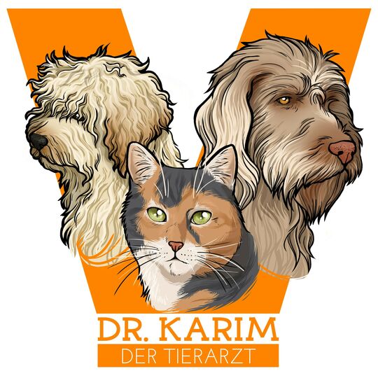 csm_logo_dr_karim_49a904d36c.jpg