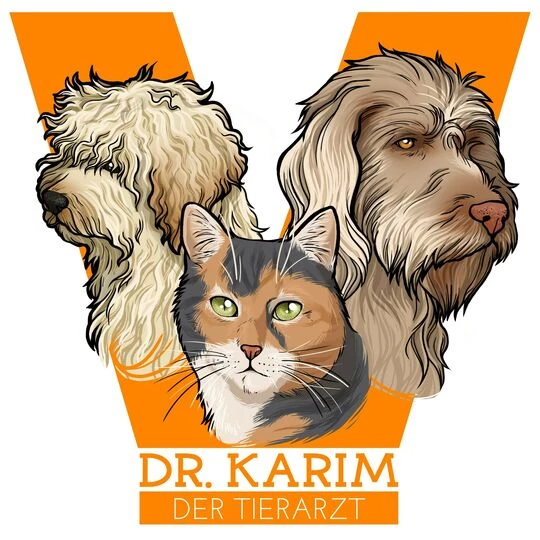 csm_logo_dr_karim_49a904d36c.webp