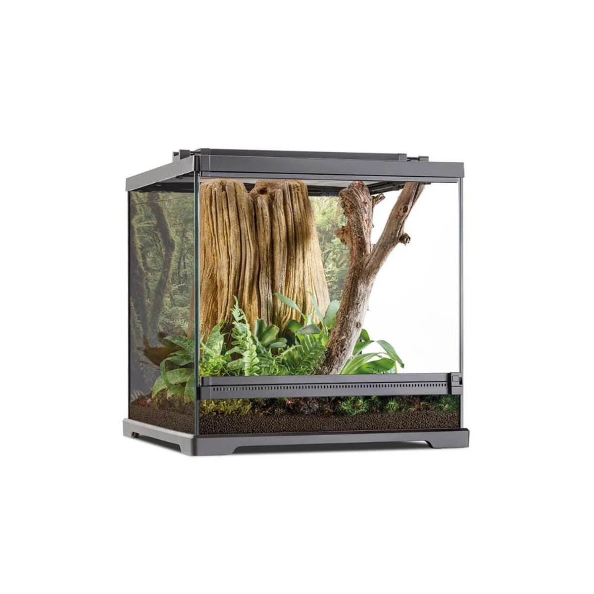 exo-terra-frog-terrarium-2-groessen.webp